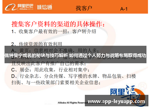 佩特曼宁成名的秘诀与技巧解析 如何通过个人努力与战略布局取得成功